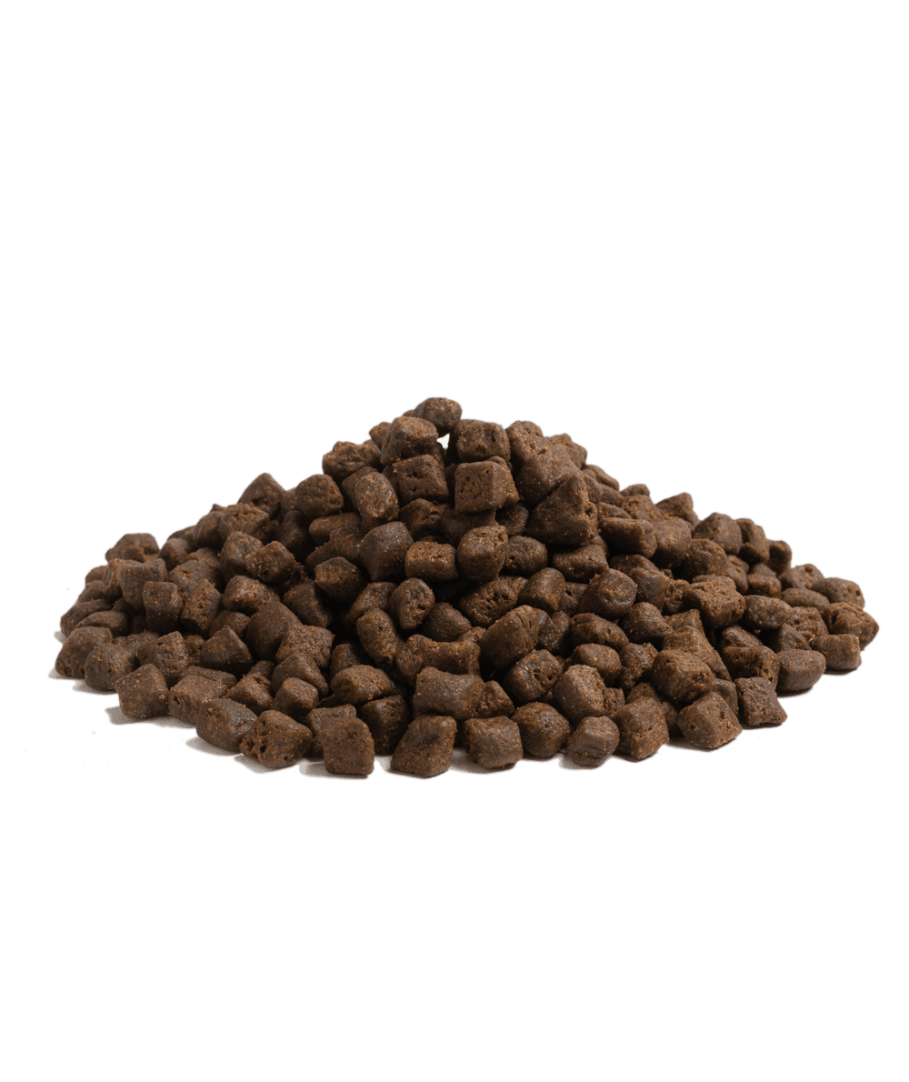 ESSENTIAL BEGINNING - 1013-4_SMALL_BREED_the_BEGINNING_Packshot_Kibbles_web_no_background