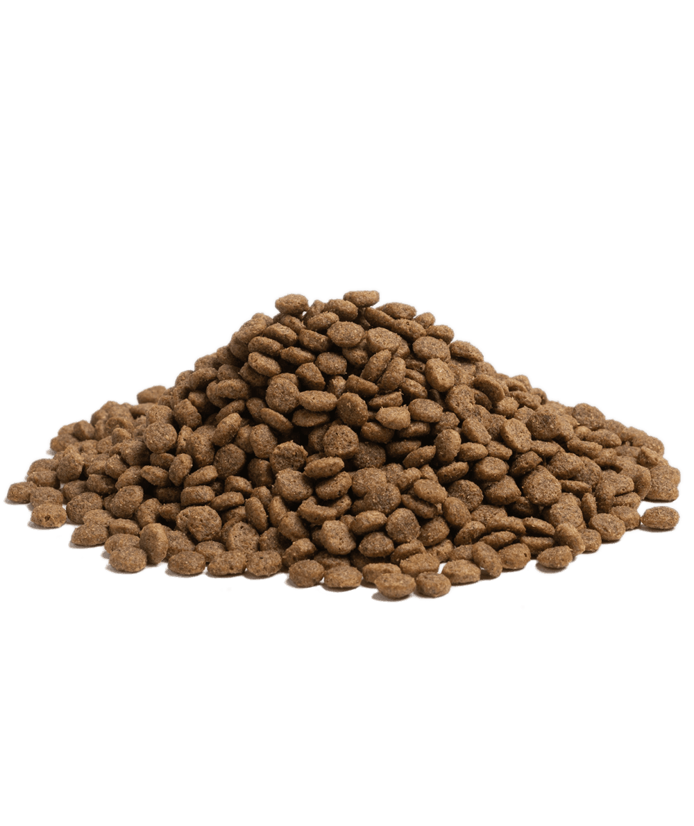 ESSENTIAL Balance duże rasy - 1123-4_BALANCE_Packshot_Kibbles2.5KG_web_nobackground_0771345a-4641-42c8-8715-d34702022f0e